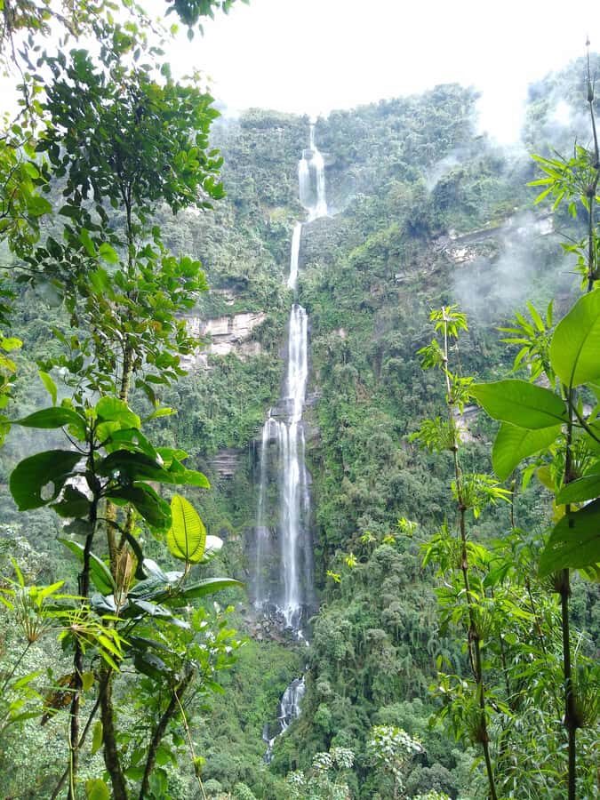 Bogotá: Visit Colombia's Highest Waterfalls & Guadalupe Hill - Standing at the Base of La Chorrera (590 Meters Tall)