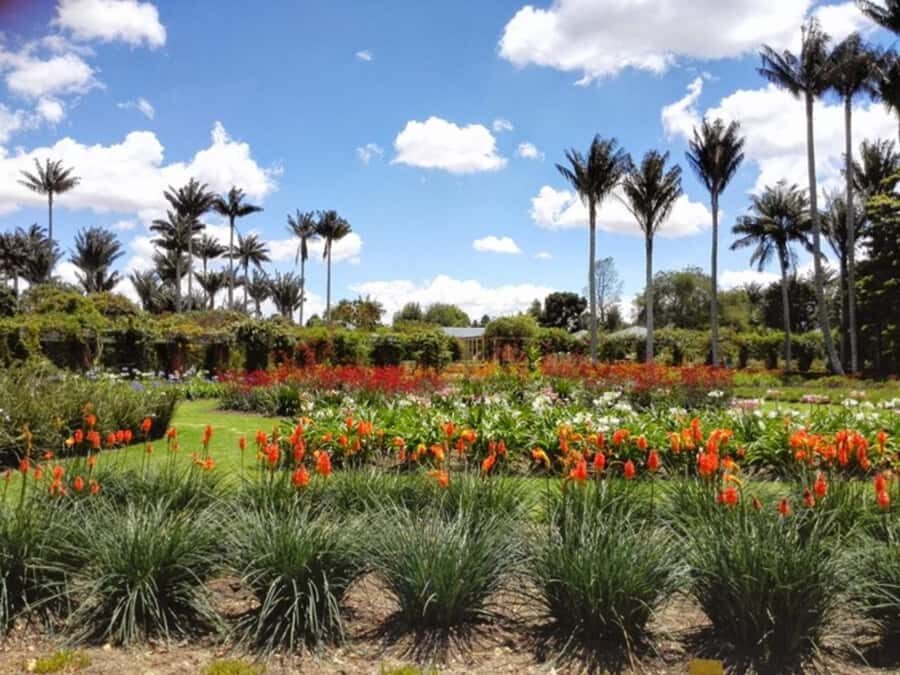 BOGOTA: Visit to the Botanical Garden and Ugly Betty's House - José Celestino Mutis Botanical Garden: themed ecosystems and real conservation
