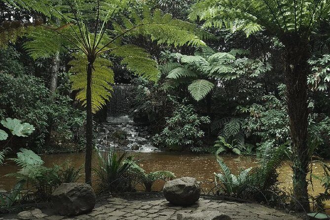 Botanical Garden Bogotá Private Tour (4 Hrs.) - José Celestino Mutis Botanical Garden: the real reason to book private