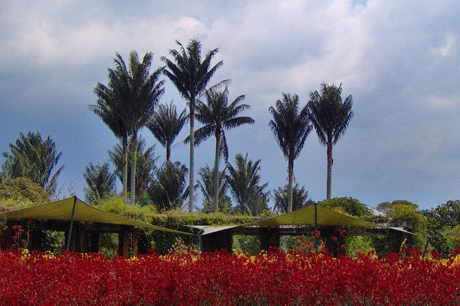 Botanical Garden Bogotá Private Tour (4 Hrs.) - Price and value: is $119 a fair deal?
