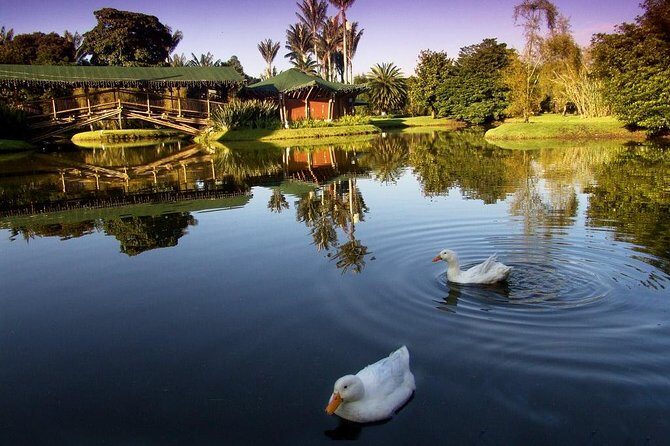 Botanical Garden Bogotá Private Tour (4 Hrs.) - Biology and geology, explained in human terms