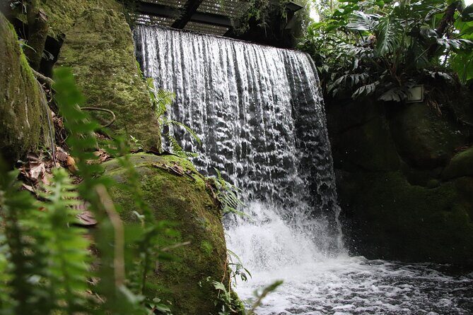 Botanical Garden José Celestino Mutis Photo Tour in Bogota - Price and value: what you pay for, and what’s extra for Tropicario entry
