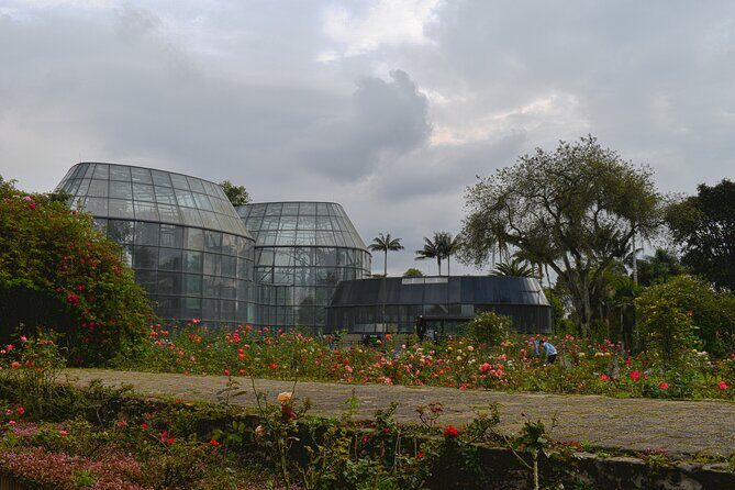 Botanical Garden José Celestino Mutis Photo Tour in Bogota - Who this photo tour is best for (and who might want something else)