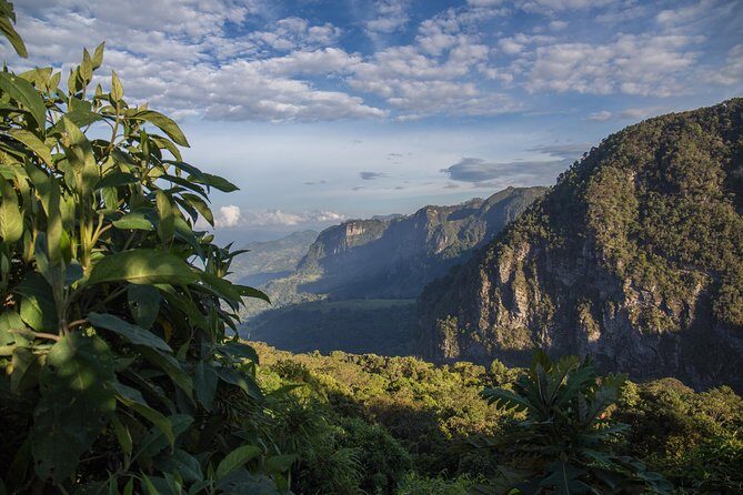 Chicaque Cloud Forest Birding & Birdwatching - Half day - Parque Natural Chicaque walking: what feels strenuous and what helps