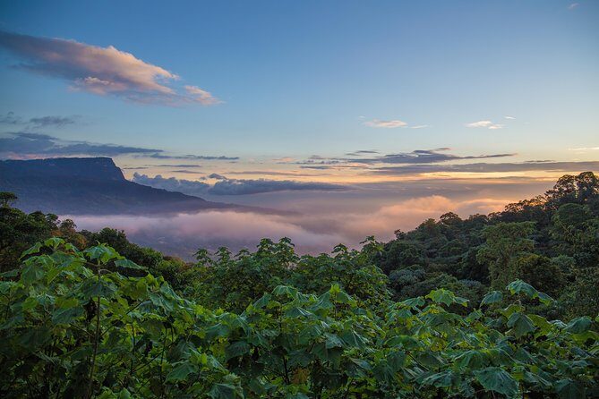 Chicaque Cloud Forest Birding & Birdwatching - Half day - Guides make the difference: Jose Luis, Hector, and Ramon in the mix