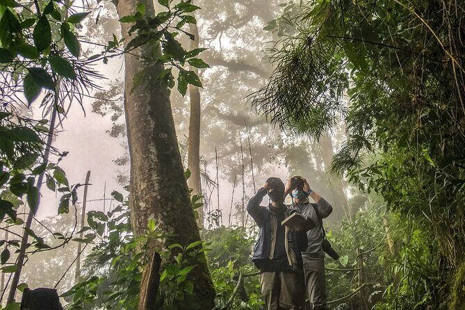 Chicaque Cloud Forest Birding & Birdwatching - Half day - Gear and comfort: binoculars, bird guides, boots, and rainy-day layering
