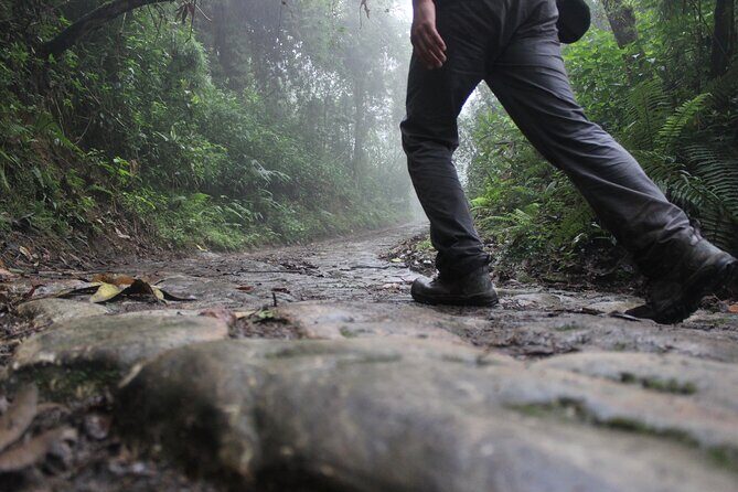 Chicaque Cloud Forest Hike - 4 hours - Chicaque Cloud Forest: What You’re Really Hiking Near Bogotá