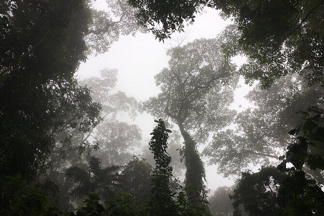 Chicaque Cloud Forest Hike - 4 hours - What to Bring (and What to Rent): A Simple Checklist That Actually Works