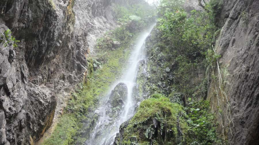 Chicaque Full-Day Trip from Bogotá - Key things to know before you go
