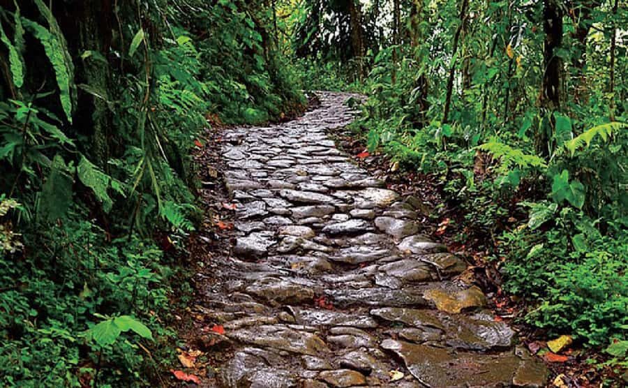 Chicaque Full-Day Trip from Bogotá - Price and logistics: is $197 worth it?