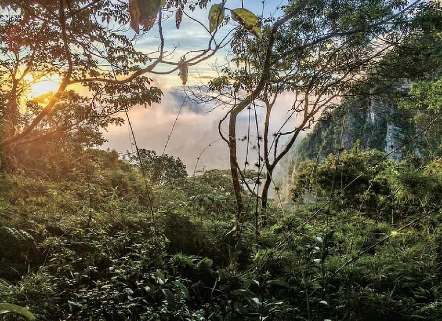 Chicaque Full-Day Trip from Bogotá - Your self-paced plan: nine marked trails and about five hours of walking