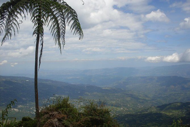 Chicaque Natural Park - Hiking or Birdwatching experience - Key Highlights to Know Before You Go