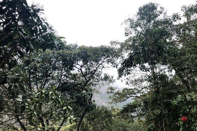 Chicaque Natural Park - Hiking or Birdwatching experience - Why Chicaque’s Cloud Forest Feels Like a Different Day