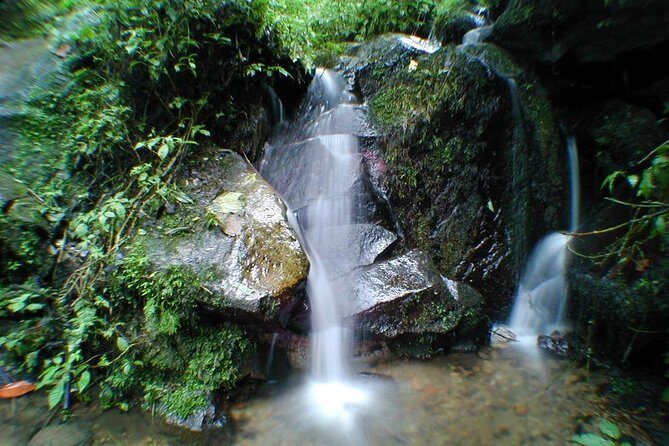 Chicaque Natural Park - Hiking or Birdwatching experience - Your Day Plan: How the Timing Works Out
