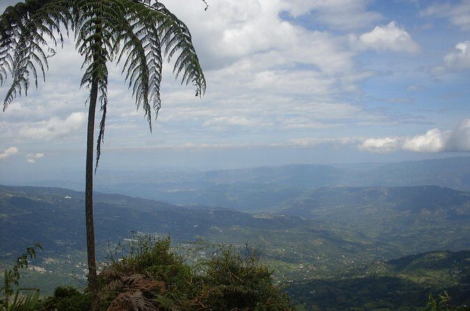 Chicaque Natural Park - Hiking or Birdwatching experience - Private Hiking vs Birdwatching: Pick the Day You Want