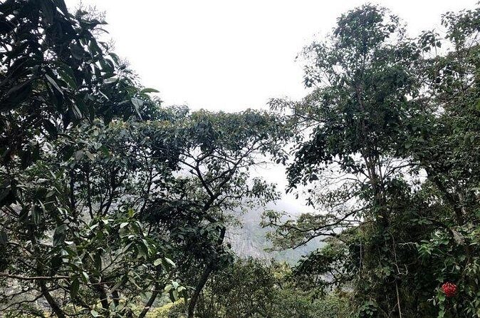 Chicaque Natural Park - Hiking or Birdwatching experience - Lunch Included: One Less Thing to Worry About