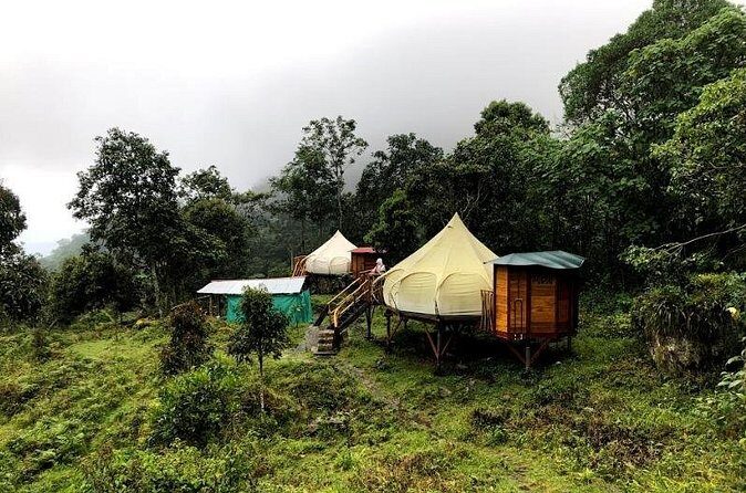 Chicaque Natural Park - Hiking or Birdwatching experience - Weather and Altitude: Dressing for 11°C–17°C
