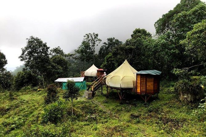Chicaque Natural Park - Hiking or Birdwatching experience - Price and Logistics: What You Actually Get for $164.60
