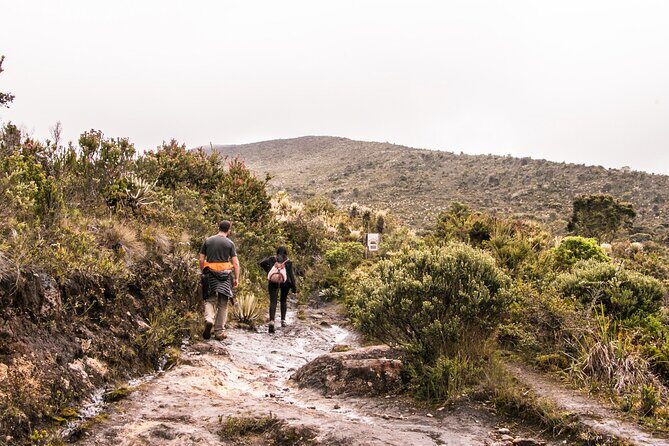 Chingaza National Park Day Tour from Bogotá: Andean Wilderness - Price and Value: Is $465 Worth It?