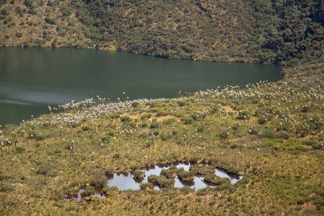 Chingaza Siecha & Cuchillas Lakes Trek - 5 hours - A High-Altitude Day Trip from Bogotá to Chingaza