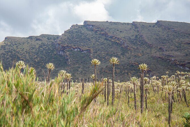Chingaza Siecha & Cuchillas Lakes Trek - 5 hours - Who This Trek Fits (and Who Should Skip It)