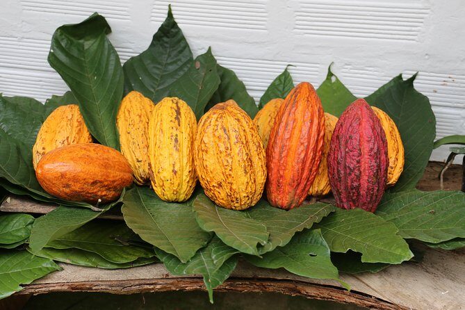 Chocolate & Coffee Farm Experience - Stop 2: Cerro de Quinini campesino lunch without the restaurant vibe
