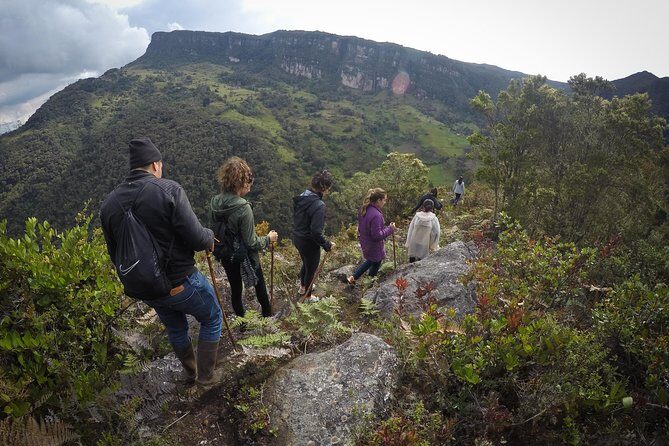 Cloud Forest & Waterfalls Half-Day Hike - Key Things You’ll Notice On This Choachi Hike