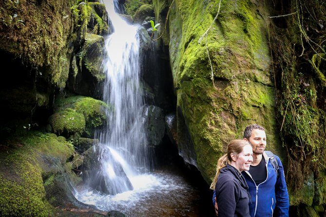 Cloud Forest & Waterfalls Half-Day Hike - Choachi Mountain Hike: waterfalls, springs, and misty birds