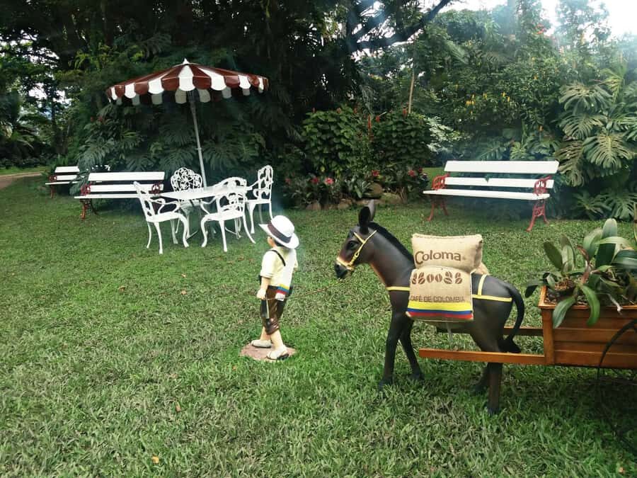 Coffee Experience: Hacienda Coloma Tour from Bogotá - Why Fusagasugá Feels Like a Coffee Reset From Bogotá