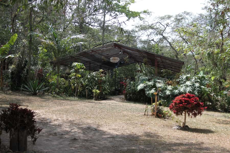 Coffee Experience: Hacienda Coloma Tour from Bogotá - Shopping for coffee products: useful souvenirs, not just clutter