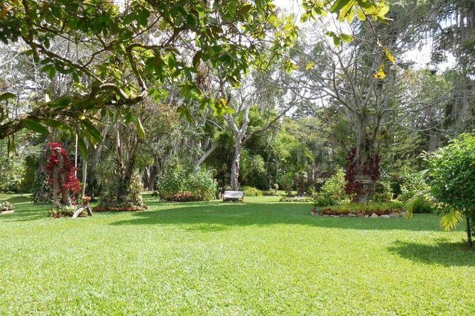 Coffee Farm Experience Private Day Tour - Lunch at the Right Time: When the Optional Meal Is Worth Adding
