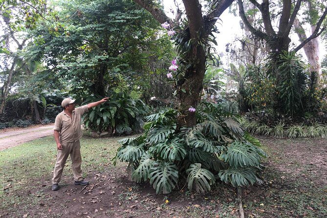 Coffee Farm Experience Private Day Tour - The Bogotá-to-Farm Drive: Views, Time, and Guide Entertainment