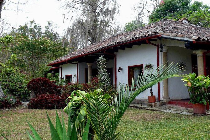 Coffee Farm Experience Private Day Tour - Who Should Book This Coffee Farm Day Tour