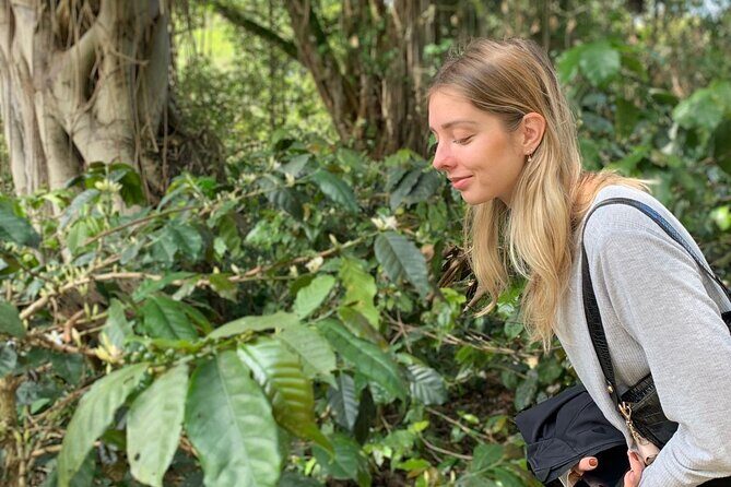 Coffee Farm Tour from Bogotá – Be a Farmer for a Day - Key moments that make this coffee farm day worth it