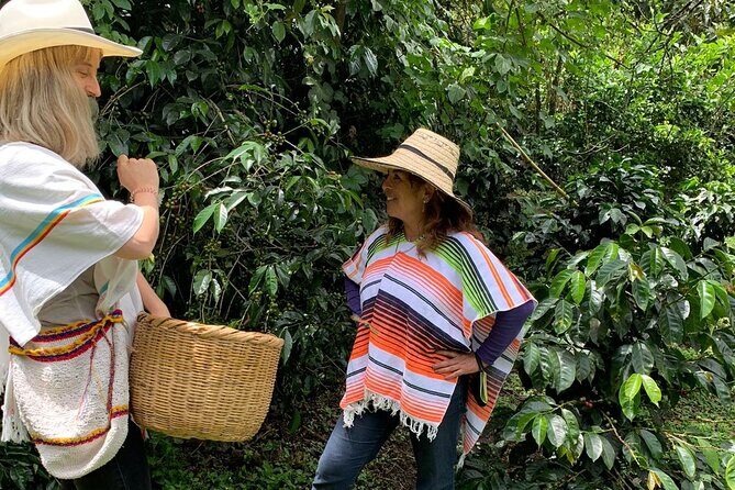 Coffee Farm Tour from Bogotá – Be a Farmer for a Day - Getting going: the Cranky Croc Hostel meeting point