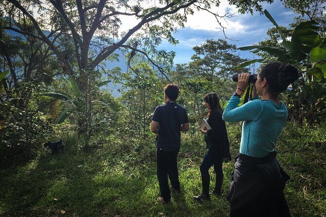 Coffee Lands Birdwatching (transport + guiding + lunch) - What You’ll See: Target Birds and Photo-Friendly Spots