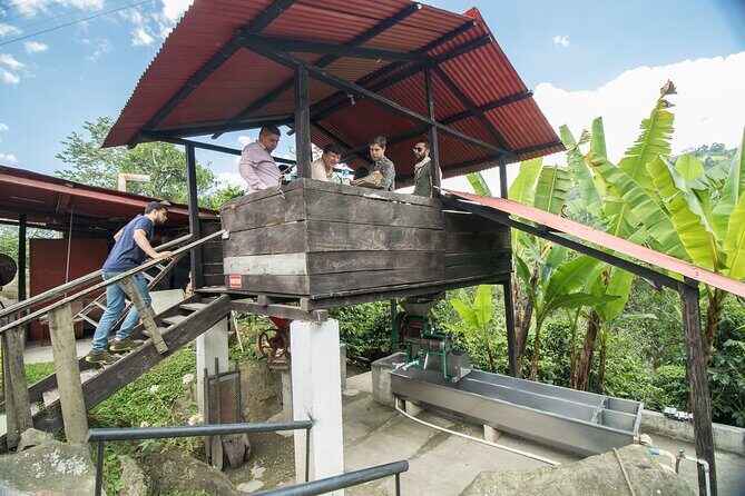 Coffee Paradise at El Paraiso - Experience from Bogota - Processing Coffee: Washed, Fermented, and Dried, Plus the Old and the New