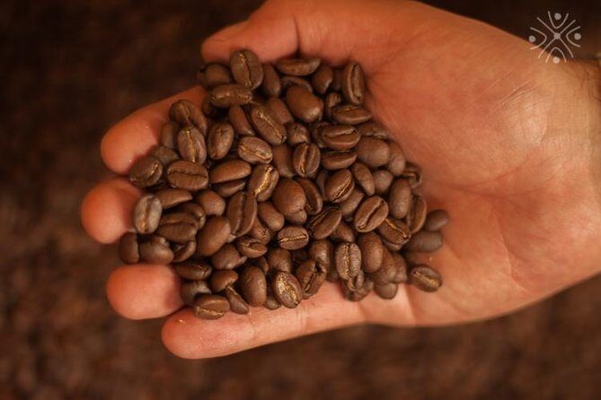 Coffee Paradise at El Paraiso - Experience from Bogota - San Francisco Main Square Lunch: A Simple Local Finish