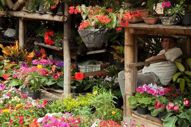Coffee Paradise at El Paraiso - Experience from Bogota - Who Should Book This Tour (and Who Might Pass)