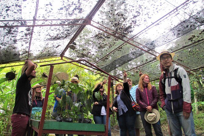 Coffee Plantation Tour From Bogota - Bogotá to the Coffee Fields: the format is the magic
