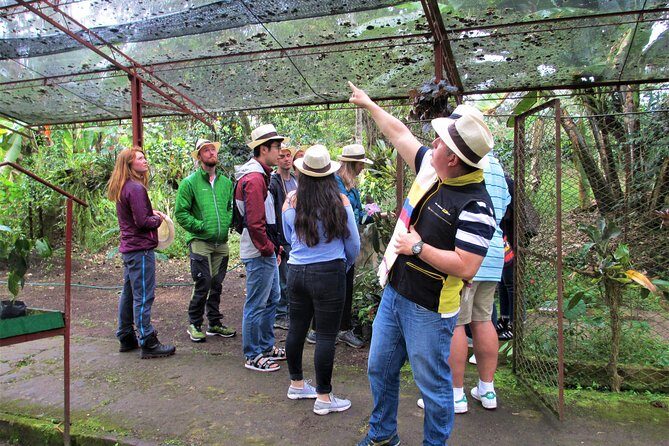 Coffee Plantation Tour From Bogota - Stop 2: B. Fusacatan, the wormer town coffee setting