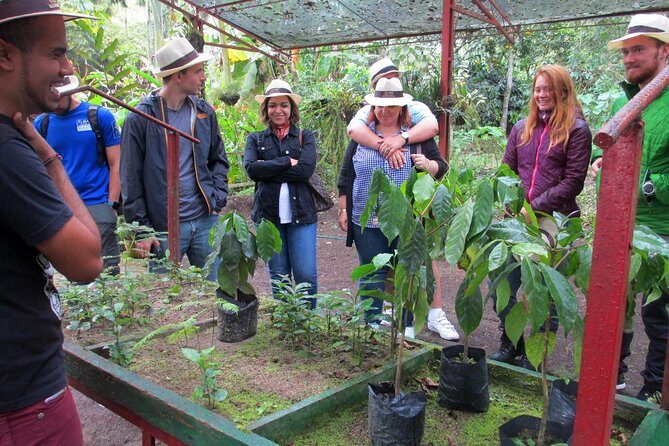 Coffee Plantation Tour From Bogota - Lunch, coffee cups, and Colombian fruit snacks that keep the day human