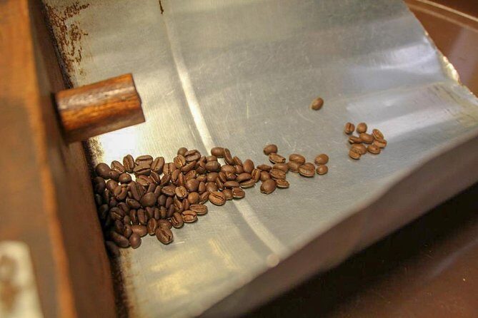 Coffee Plantation Tour From Bogota - Who should book this coffee plantation day trip