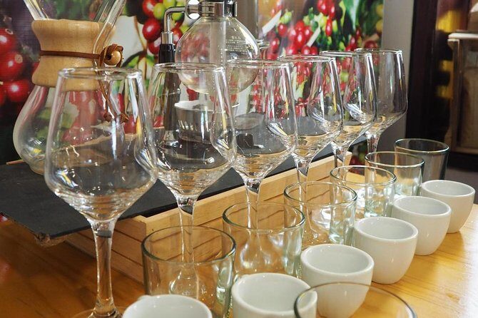 Coffee tasting experience at Divino Café Especial - The heart of Divino: tasting 4 specialty coffees across 4 brew styles
