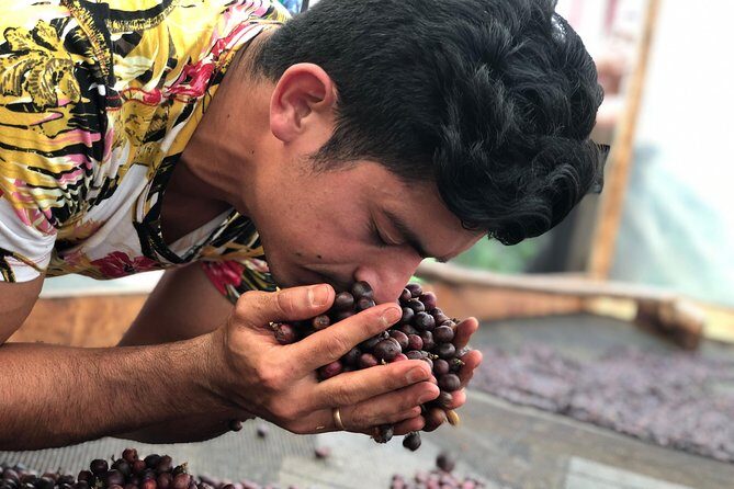 Coffee Tour Finca Jaguar - Key highlights worth your time