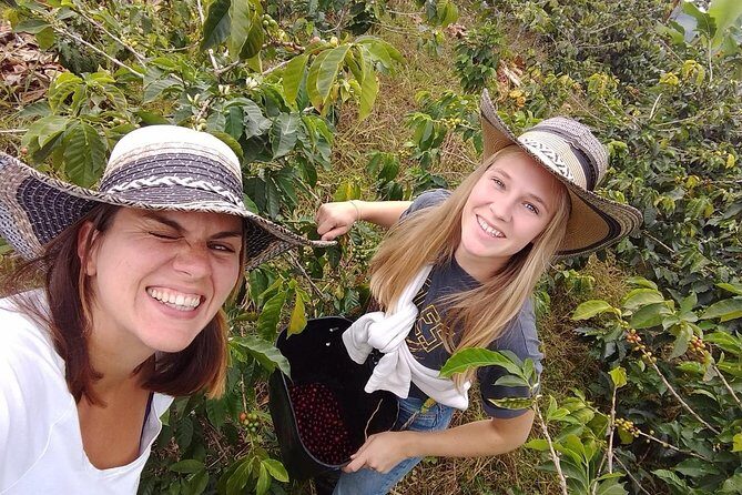 Coffee Tour Finca Jaguar - Who this tour fits best (and who should skip it)