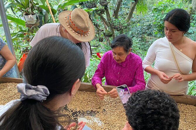 Coffee Tour from Coffee Growers to Your Cup - Walking shoes matter more than you think