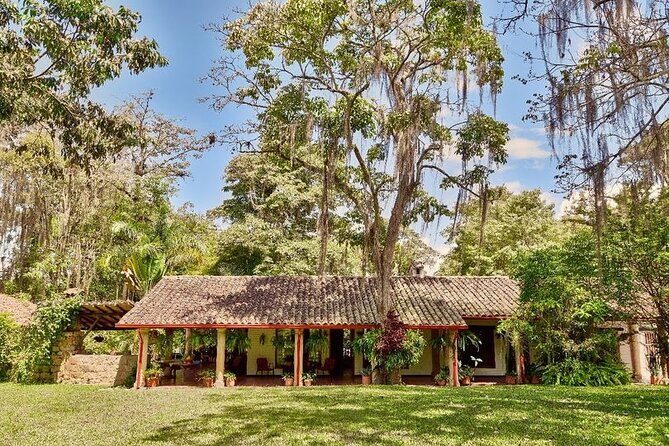 Coffee tour & rum tasting - Key highlights you’ll actually care about