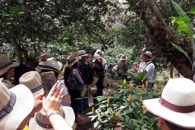 Coffee tour & rum tasting - The rum distillery stop: production details, not just a party vibe