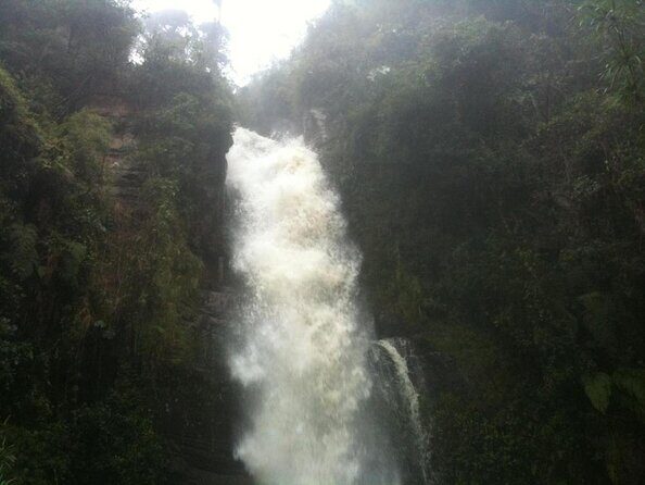 Colombia’s Tallest Waterfalls: La Chorrera Hike - Key highlights you’ll actually feel